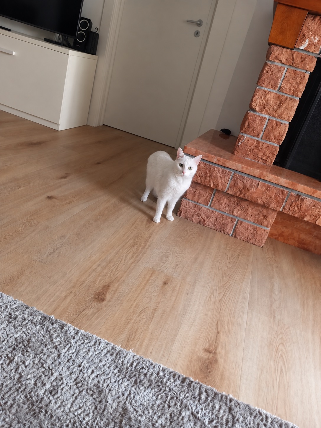Foto Leroy Merlin 3